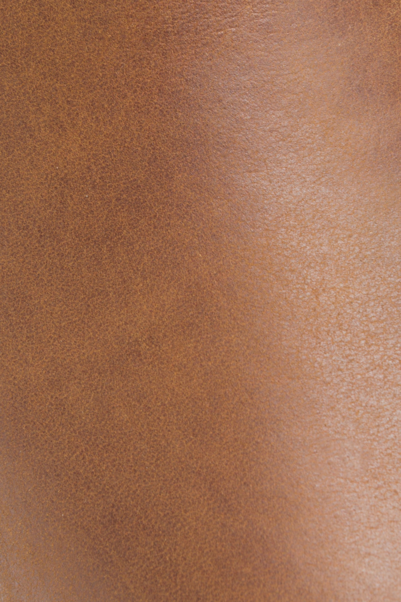Carly Double Zip - Frye Found