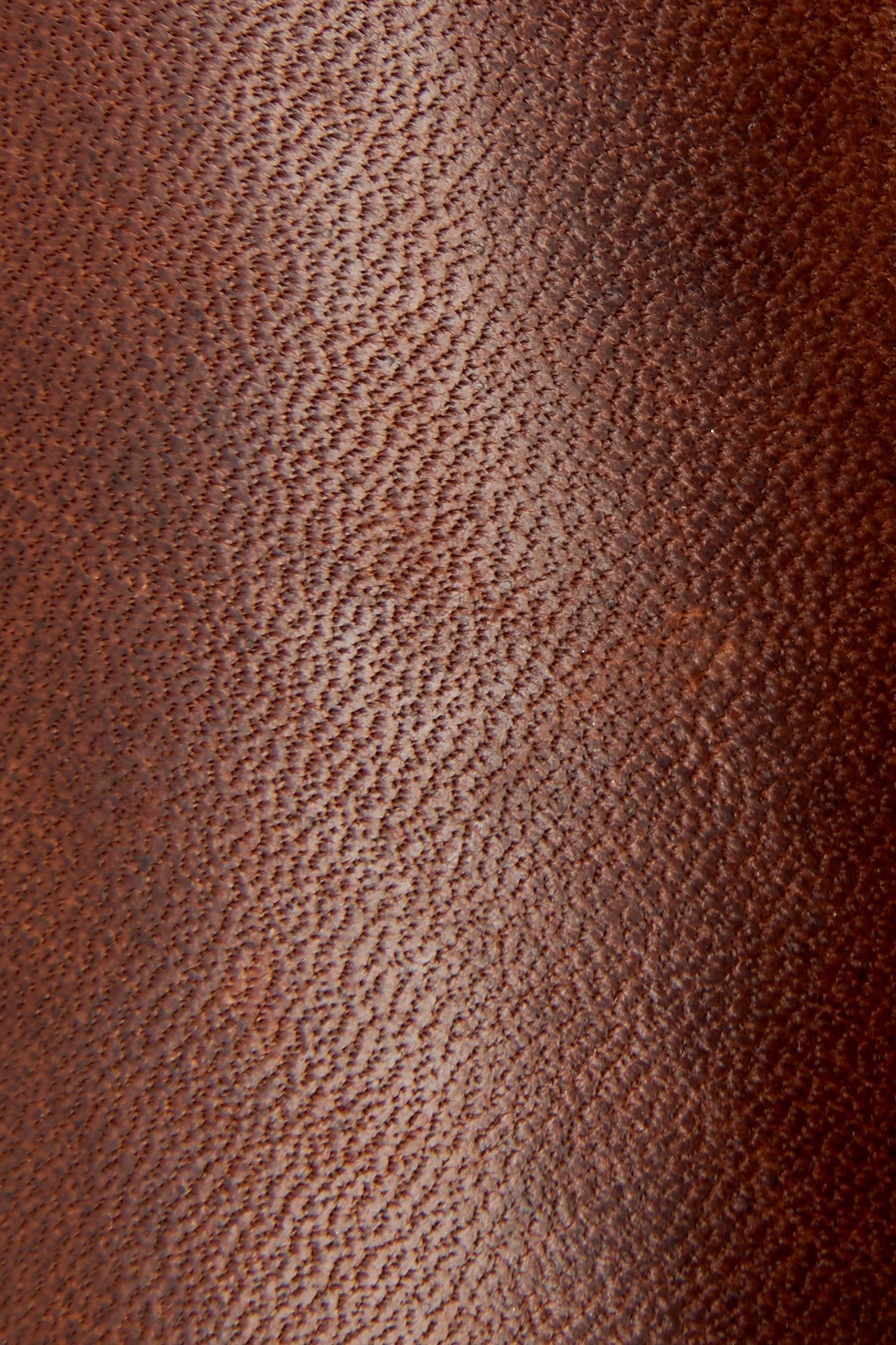 Billy Inside Zip Bootie - Frye Found