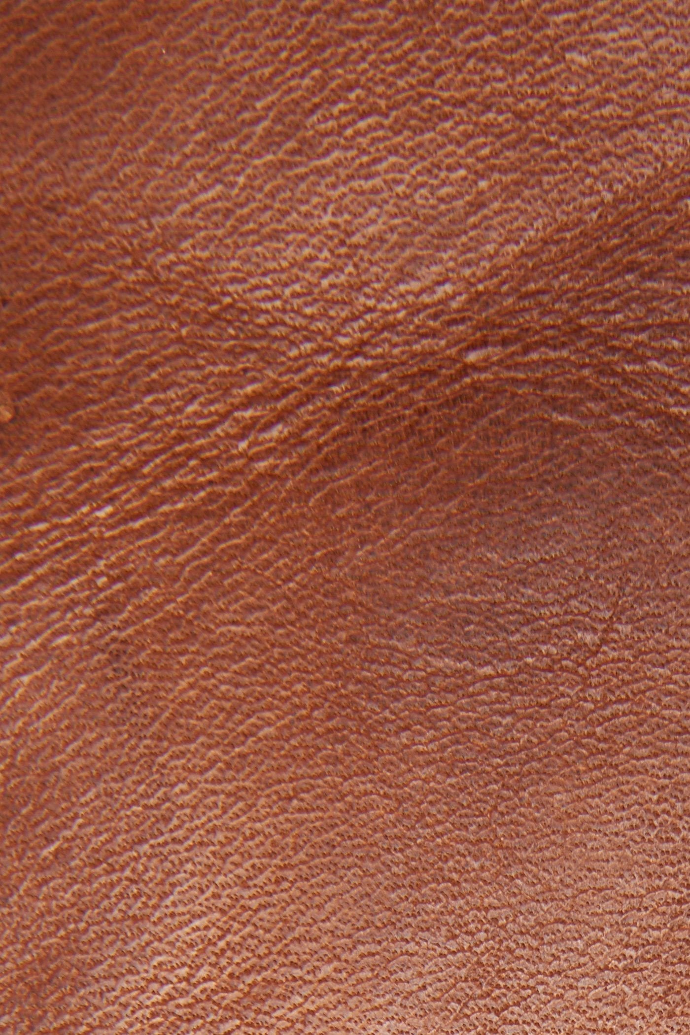 Diana Seam Tall - Frye Found