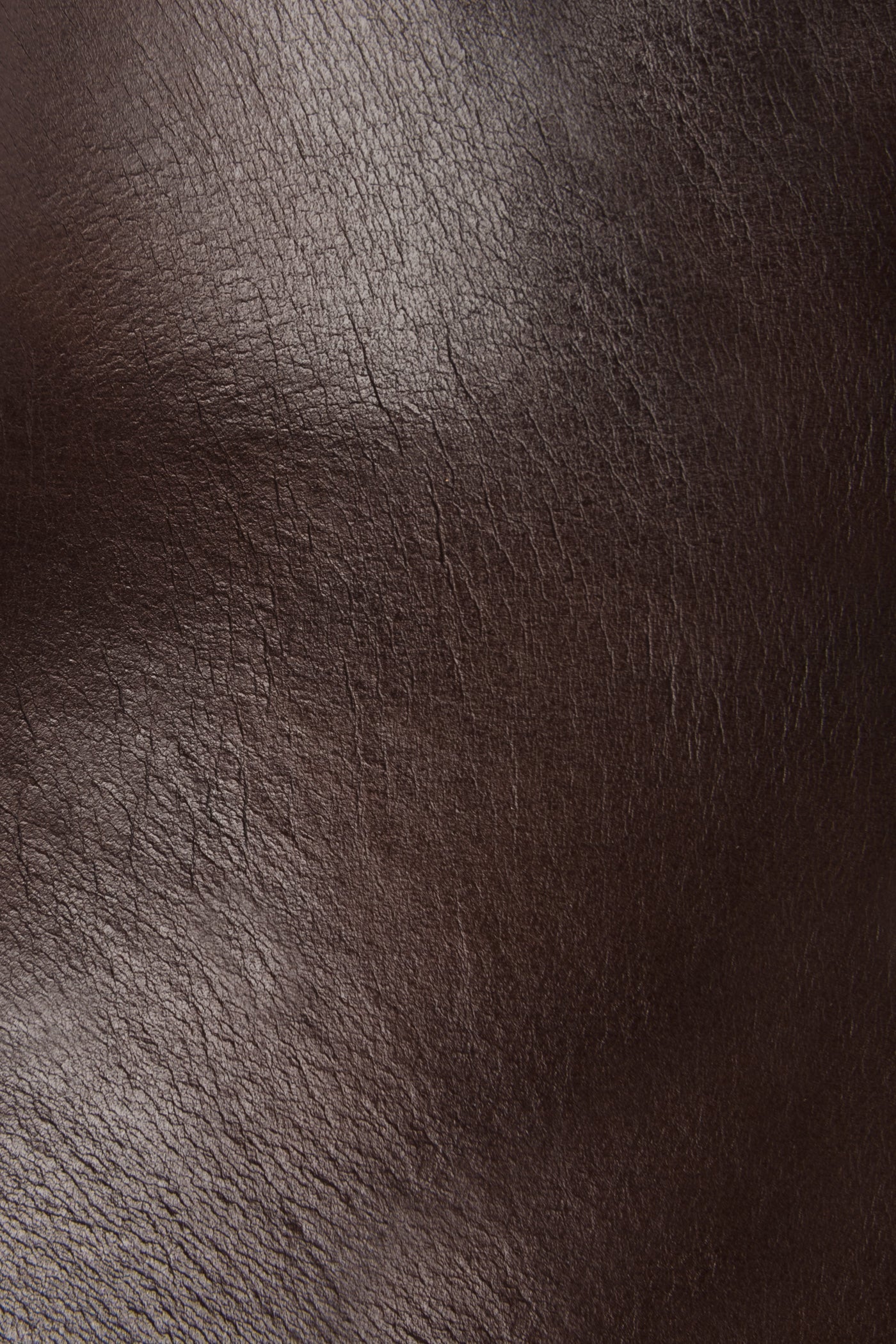 Cece Jodhpur - Dark Brown / 8 - Pre-Loved