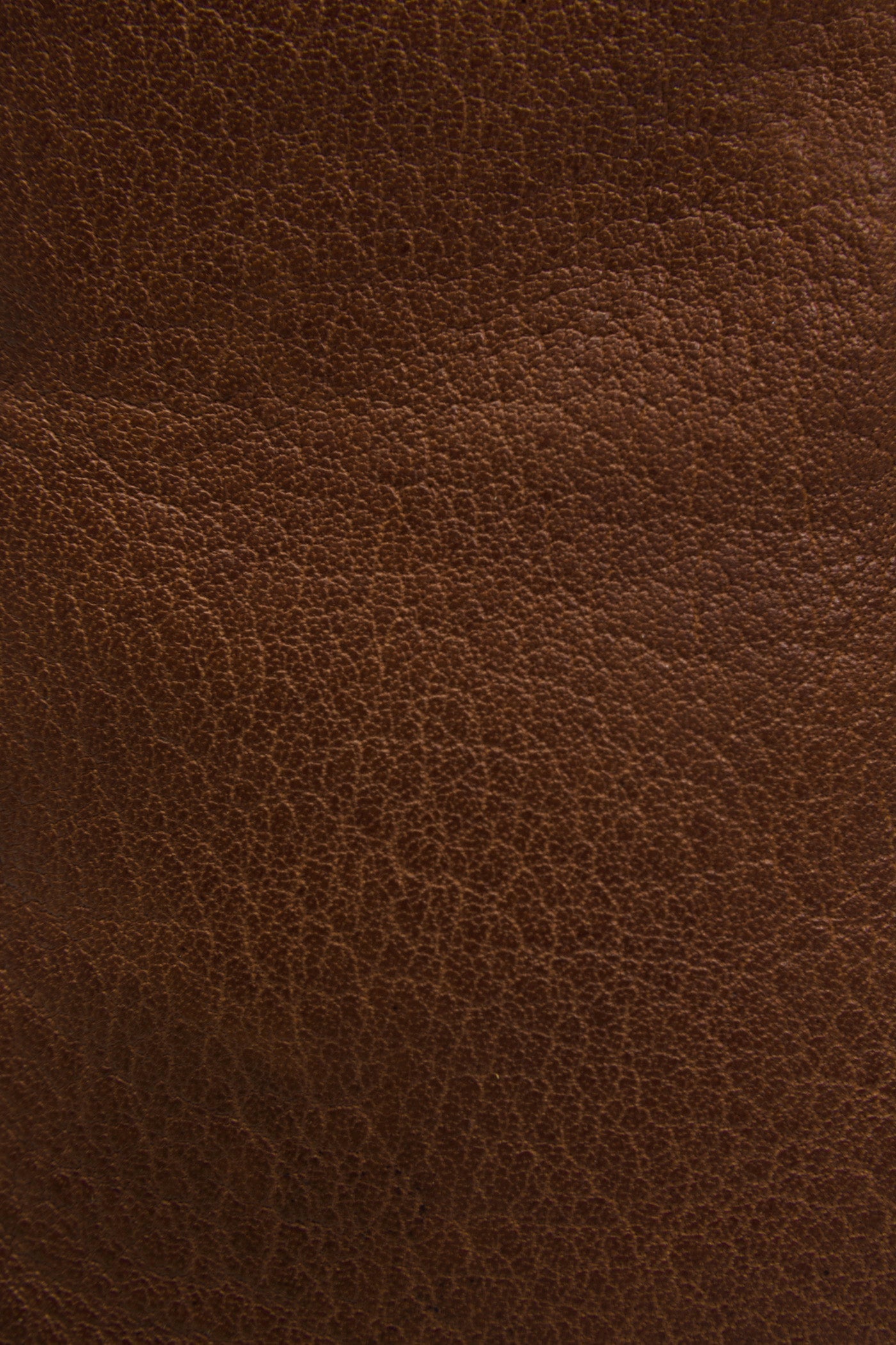 Austin Inside Zip - Frye Found