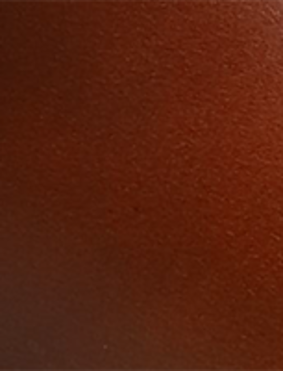 Campus Buckle